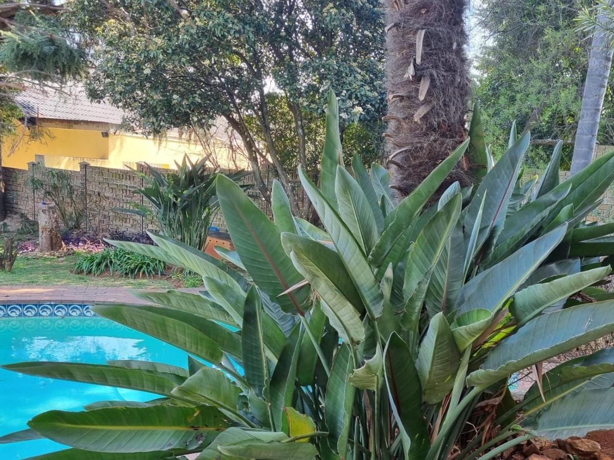 The Jewel Bed and Breakfast Florida Esterno foto